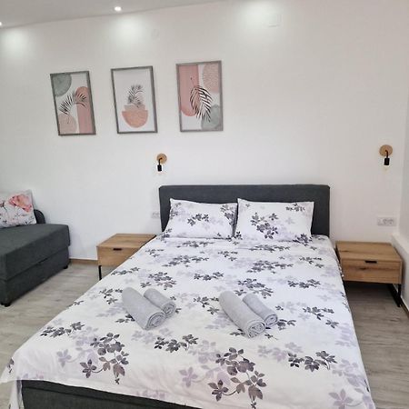 Zed Apartmani Leskovac レスコヴァツ エクステリア 写真